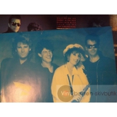 BACK INTO BLUE  QUARTERFLASH