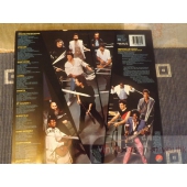 LEE RITENOUR  BANDED 