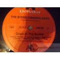 STEVE GIBBONS BAND  