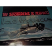 THE SPOTNICKS IN ACAPULCO