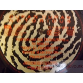 DURAN DURAN NOTORIOUS