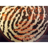 DURAN DURAN NOTORIOUS