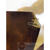 FLASH CADILLAC&THE CONTINENTAL KIDS 