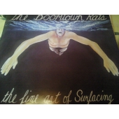 THE BOOTOWN RATS THE FINE ART OF SURFACING