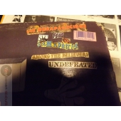 LITTLE STEVEN POSTER