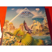 ASIA /ALPHA