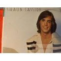 SHAUN CASSIDY