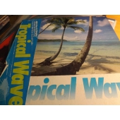 V.A. / Tropical Wave 1980 Japan Press OBI LP c9109