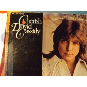 DAVID CASSIDY