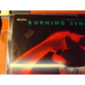BURNING SENSATIONS 