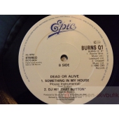 DEAD OR ALIVE