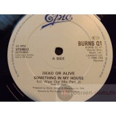 DEAD OR ALIVE