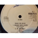DEAD OR ALIVE  