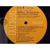 AMERICA THE BEAUTIFUL  