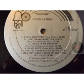 DAVID CASSIDY