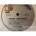 DAVID CASSIDY  