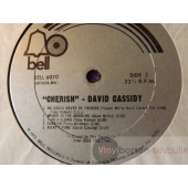 DAVID CASSIDY  