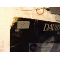 DAVID ESSEX  