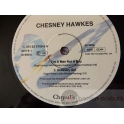 CHESNEY HAWKES 