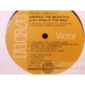 AMERICA THE BEAUTIFUL   
