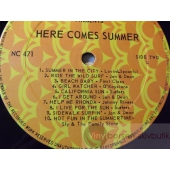 V/A  HERE COMES SUMMER