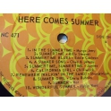 V/A  HERE COMES SUMMER
