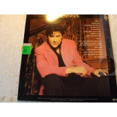SHAKIN STEVENS 