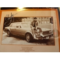 SHAKIN STEVENS 