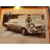 SHAKIN STEVENS 