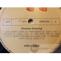 ANDY GIBB
