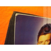 RICK ASTLEY  
