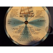 STEVIE WONDER   