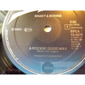 SHAKIN`STEVENS & BONNIE TYLER  