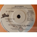 JIM STEINMAN Promo