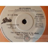 JIM STEINMAN Promo