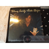 SHAUN CASSIDY  