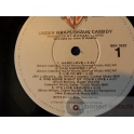 SHAUN CASSIDY  