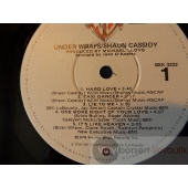 SHAUN CASSIDY  