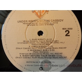 SHAUN CASSIDY  