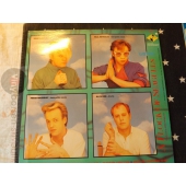 A FLOCK OF SEAGULLS