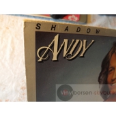 ANDY GIBB  