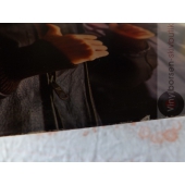THE SALSOUL ORCHESTRA  