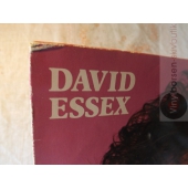 DAVID ESSEX  
