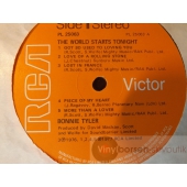 BONNIE TYLER  