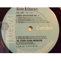 THE STEREO ACTION ORCHESTRA  