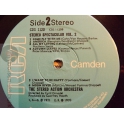 THE STEREO ACTION ORCHESTRA  
