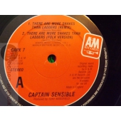 CAPTAIN SENSIBLE   