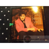 SHAKIN STEVENS  