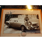 SHAKIN STEVENS  