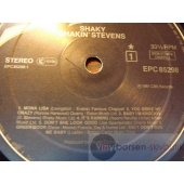 SHAKIN STEVENS  
